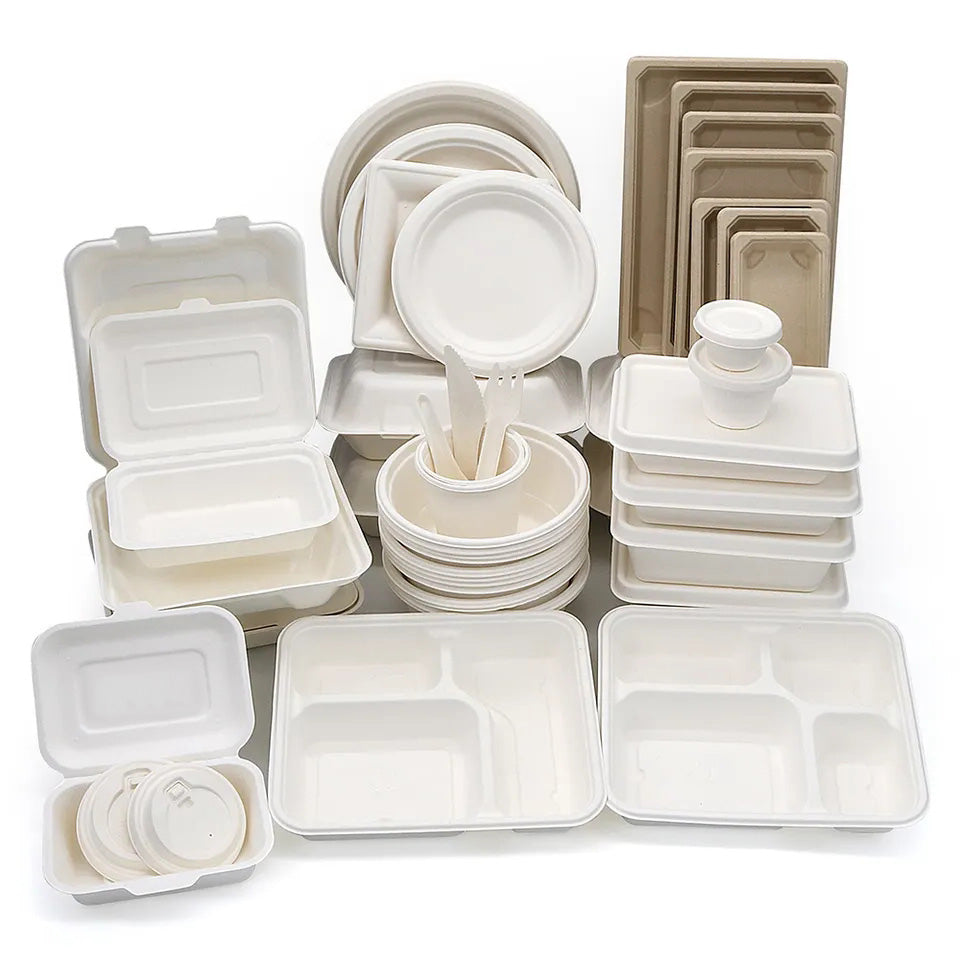 Bagasse Takeaway Container